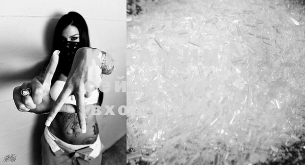 шишки Бикин