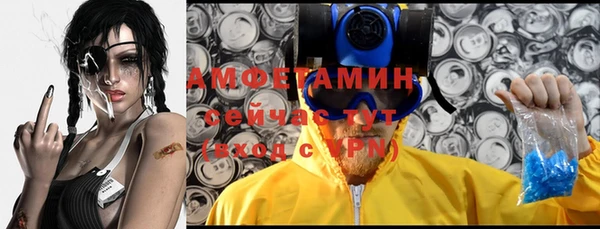 шишки Бикин