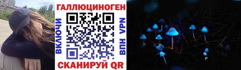 Купить  Красково  Псилоцибиновые грибы Cubensis 